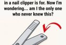 The small round hole on the nail clipper has special and powerful uses!