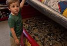 I Found a Stack of Forks Hidden Under My Son’s Mattress – When I Tried to Take Them Away, He Said His Dad Made Him Do It