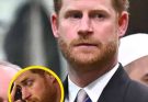Prince Harry steps down from charity after ‘unthi/nkable’ controversy…