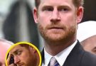 Prince Harry steps down from charity after ‘unthi/nkable’ controversy…